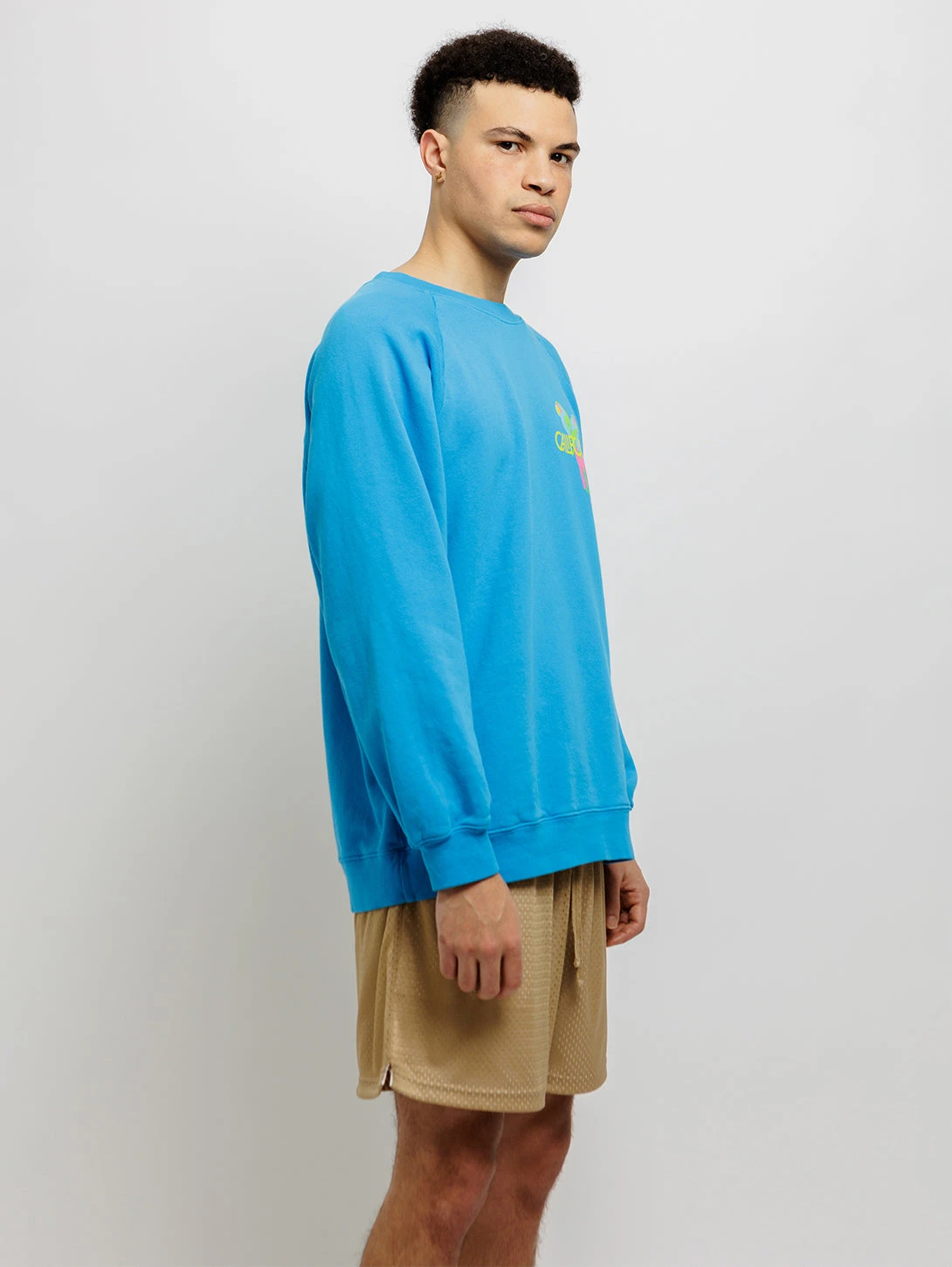 Parrots Crew Neck Sweatshirt - Electric Blue 4 Parrots Crew Neck Sweatshirt - Electric Blue - Image 2