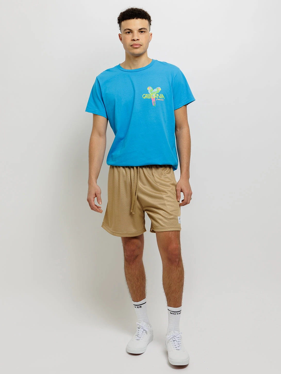 Parrots T-Shirt - Faded Electric Blue 6 Parrots T-Shirt - Faded Electric Blue - Image 4