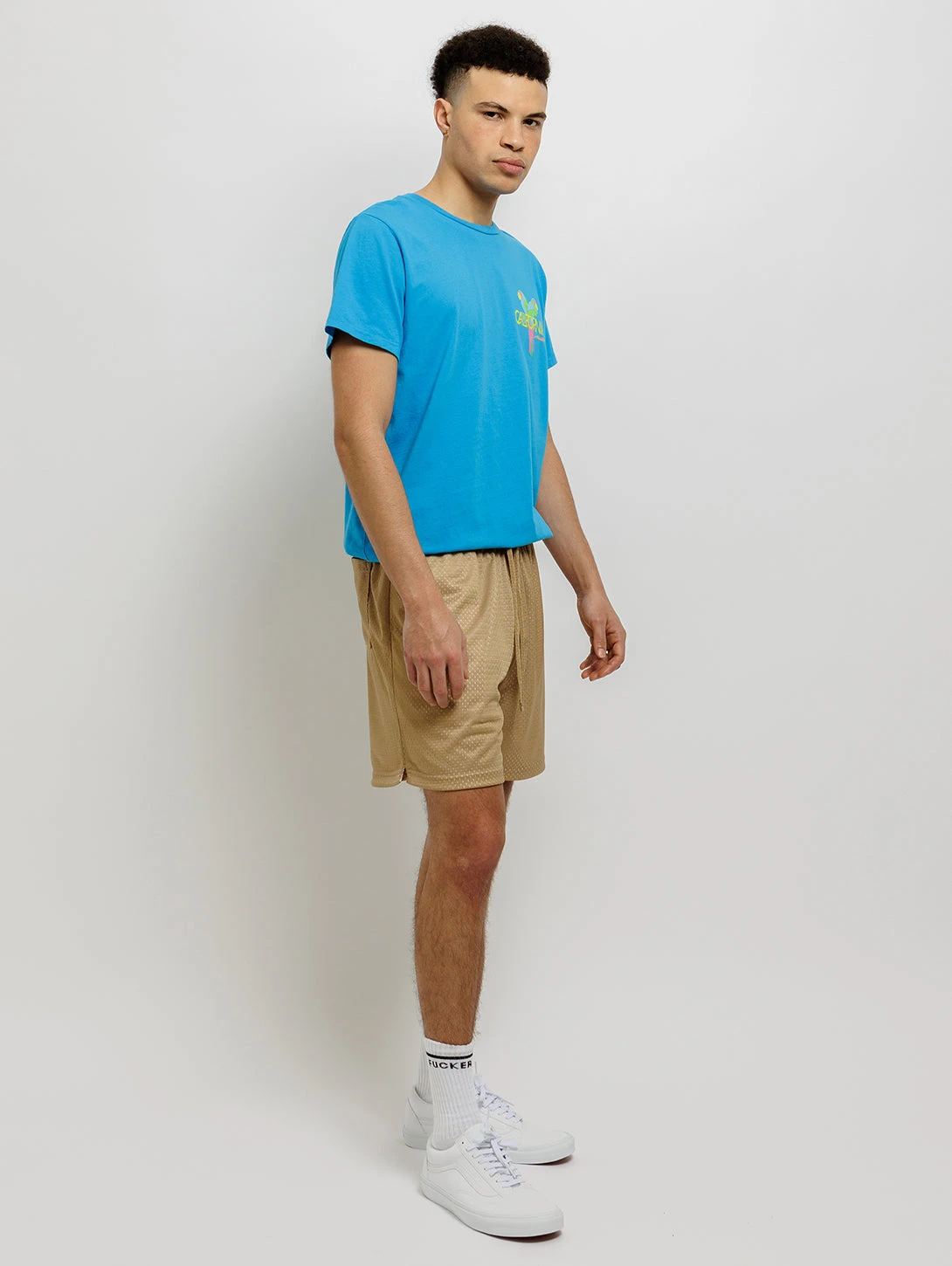 Parrots T-Shirt - Faded Electric Blue 7 Parrots T-Shirt - Faded Electric Blue - Image 5