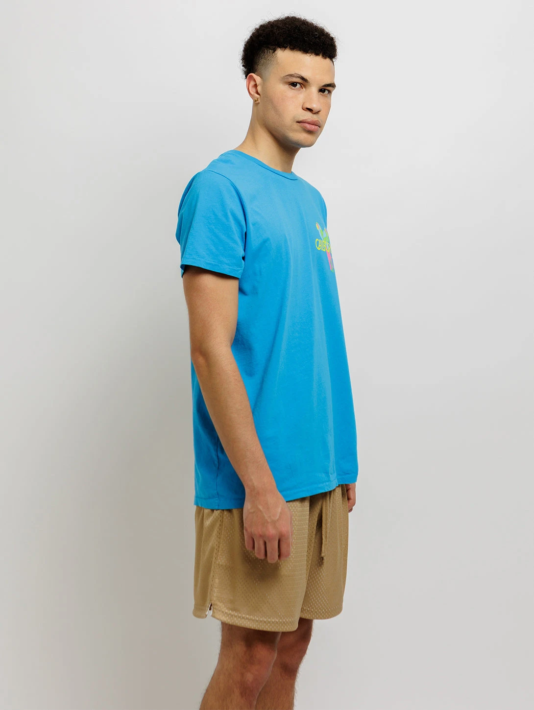 Parrots T-Shirt - Faded Electric Blue 4 Parrots T-Shirt - Faded Electric Blue - Image 2