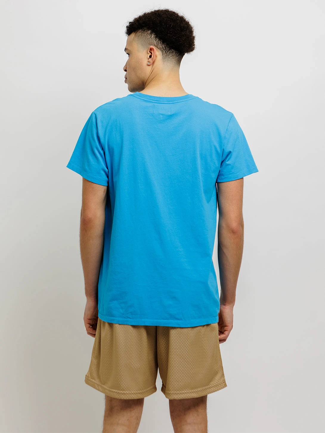 Parrots T-Shirt - Faded Electric Blue 5 Parrots T-Shirt - Faded Electric Blue - Image 3